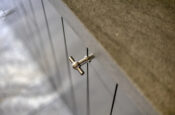 Pykeswegje 61 (Goes) – Foto 15