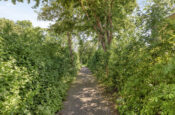 Volkerakstraat 33 (Zierikzee) – Foto 57