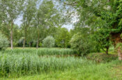 Europalaan 28 (Goes) – Foto 34