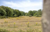 Lindelaan 23e (Renesse) – Foto 11
