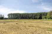 Wouterij 34 (Koewacht) – Foto 32