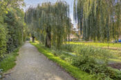 Schaepmanlaan 12 (Axel) – Foto 46