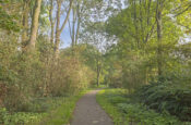 ’t Hoefje 25 (Bruinisse) – Foto 31
