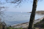 Grevelingenhout 57 (Bruinisse) – Foto 66