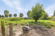 Isabellaweg 16 (IJzendijke) – Foto 65