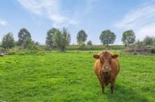 Isabellaweg 16 (IJzendijke) – Foto 63