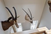 Binnenpad 12a (Koewacht) – Foto 20