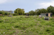 Soetelaer 33 (Kortgene) – Foto 36