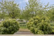 Chopinlaan 20 (Goes) – Foto 36