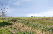 Schendersweg 25 (Brouwershaven) – Foto 4