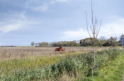 Schendersweg 25 (Brouwershaven) – Foto 9