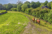 Woestijnestraat 3 (Clinge) – Foto 2